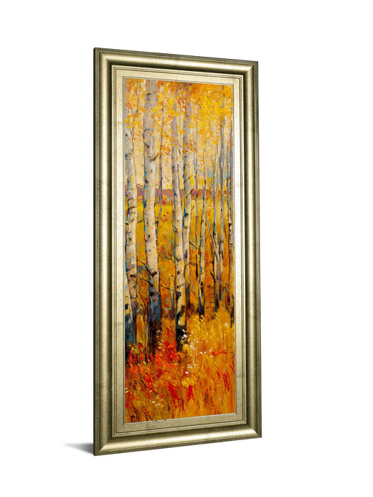 Vivid Birch Forest Il By Tim Otoole - Framed Print Wall Art - Orange