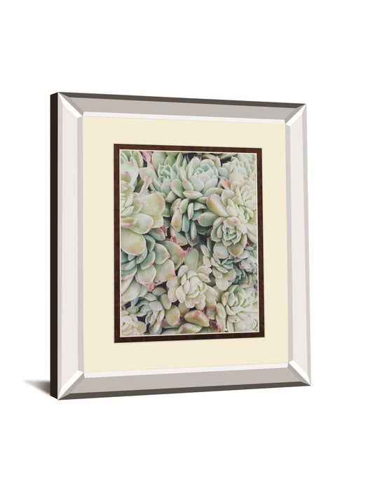 Translucent Succulents By Chelsea Kedron Mirrored Frame - Green