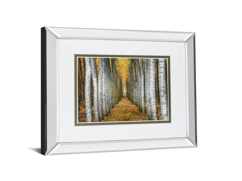 Tree Farm By Cahill - Mirror Framed Print Wall Art - Yellow