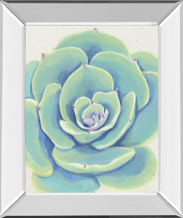 Pastel Succulent IV By Tim OToole - Light Blue
