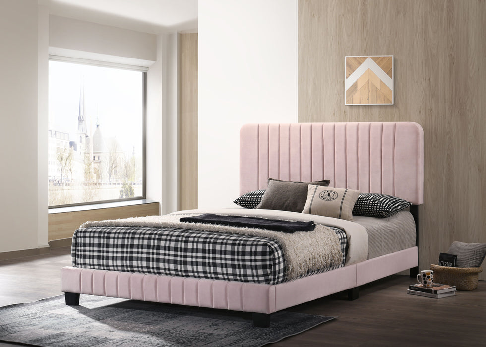Lodi - G0406-QB-UP Queen Bed - Pink