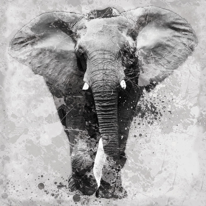 Proud Elephant By Carol Robinson - Silver - Pearl Silver