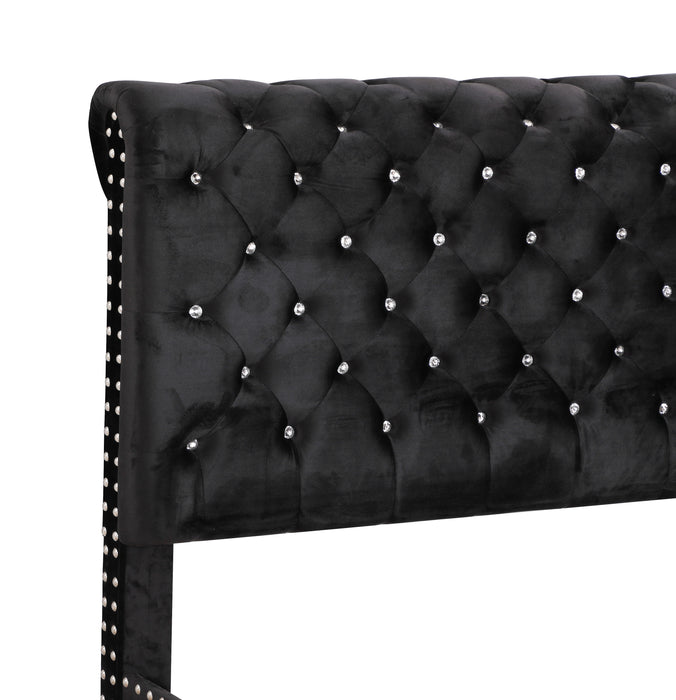 Maxx - G1942-FB-UP Tufted Upholstered Bed - Black