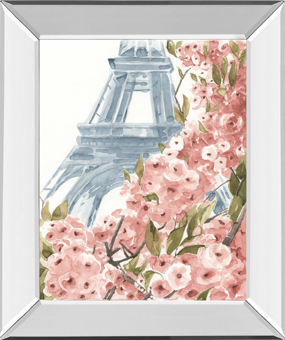 Paris Cherry Blossoms II By Annie Warren - Pink