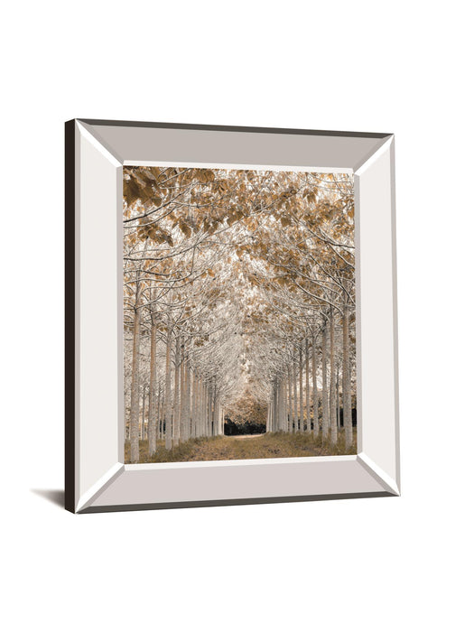 White Gold By Assaf Frank - Mirror Framed Print Wall Art - Pearl Silver