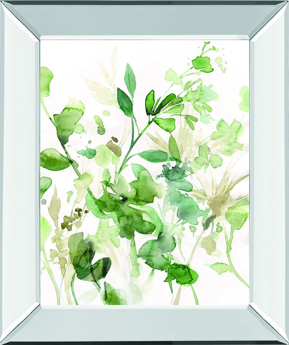 Sage Garden I By Carol Robinson - Mirror Framed Print Wall Art - Green
