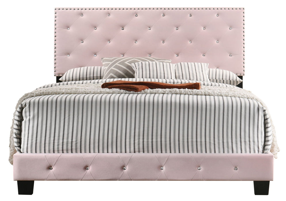 Suffolk - G1406-QB-UP Queen Bed - Pink