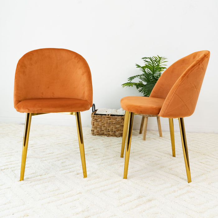 Marion - Mid Century Modern Dining Chair (Set of 2)